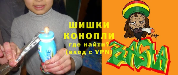 PSILOCYBIN Верхний Тагил