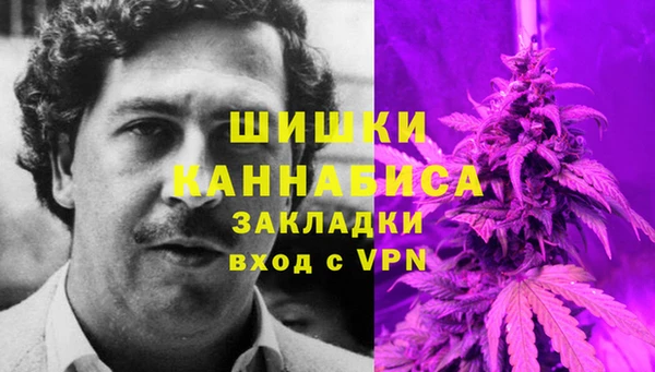 индика Бугульма