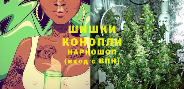 PSILOCYBIN Верхний Тагил