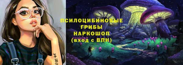 PSILOCYBIN Верхний Тагил