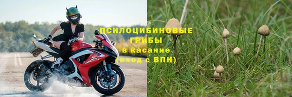 эйфоретик Слюдянка