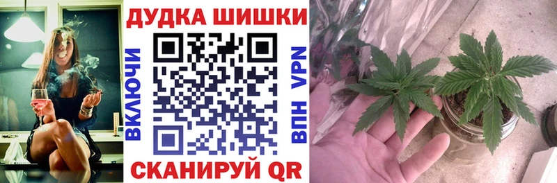 Бошки Шишки сатива  наркотики  Оха 